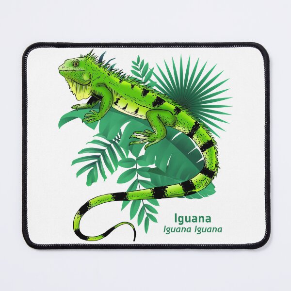 Item preview, iguana designed and sold by pjcriativo.
