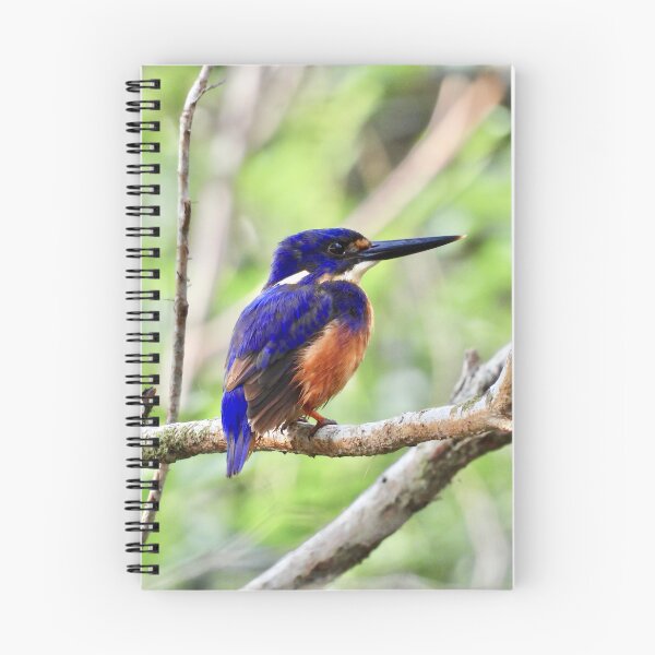Item preview, Azure kingfisher looking good designed and sold by Mark Grimsley.