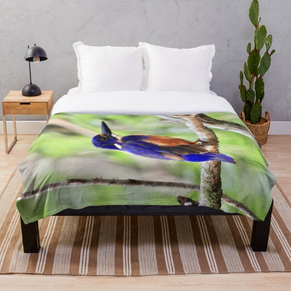 Item preview, Azure kingfisher looking good designed and sold by Mark Grimsley.