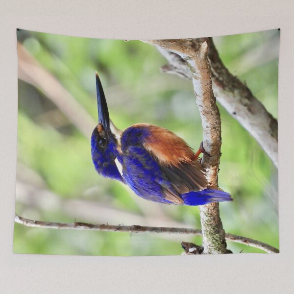 Item preview, Azure kingfisher looking good designed and sold by Mark Grimsley.