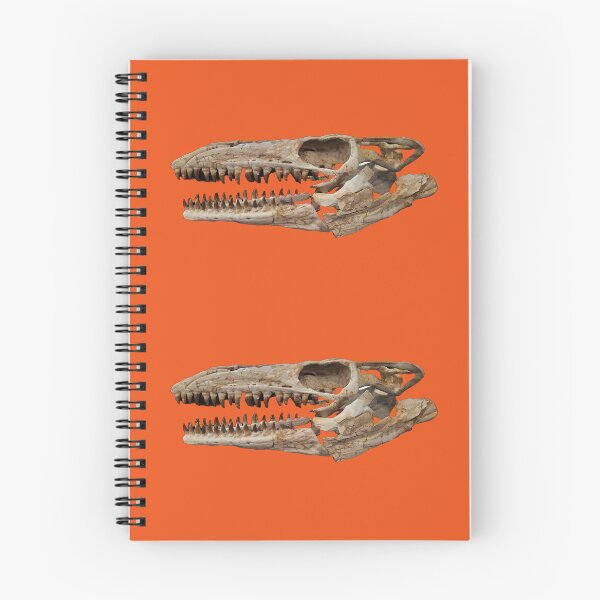 Item preview, Mosasaurus fossilized skull designed and sold by Creative Endeavors ..