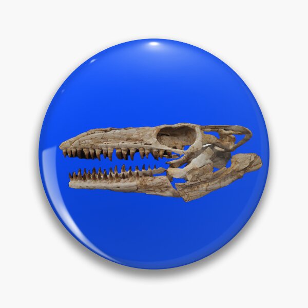 Item preview, Mosasaurus fossilized skull designed and sold by Creative Endeavors ..