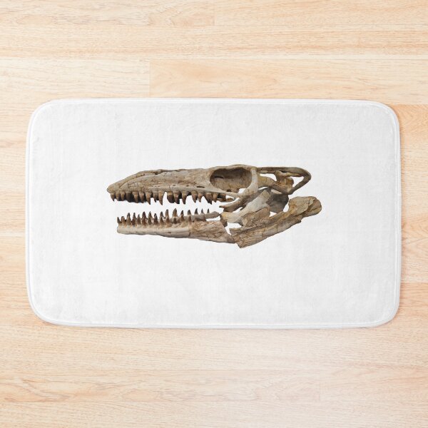 Item preview, Mosasaurus fossilized skull designed and sold by Creative Endeavors ..