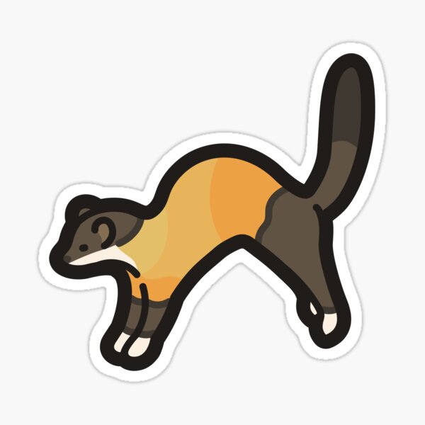 Stoat Weasel Magnet: Gift for stoat lovers, vet techs