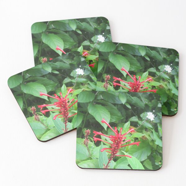 Item preview, Red Flower #1 designed and sold by LifExtroardinar.