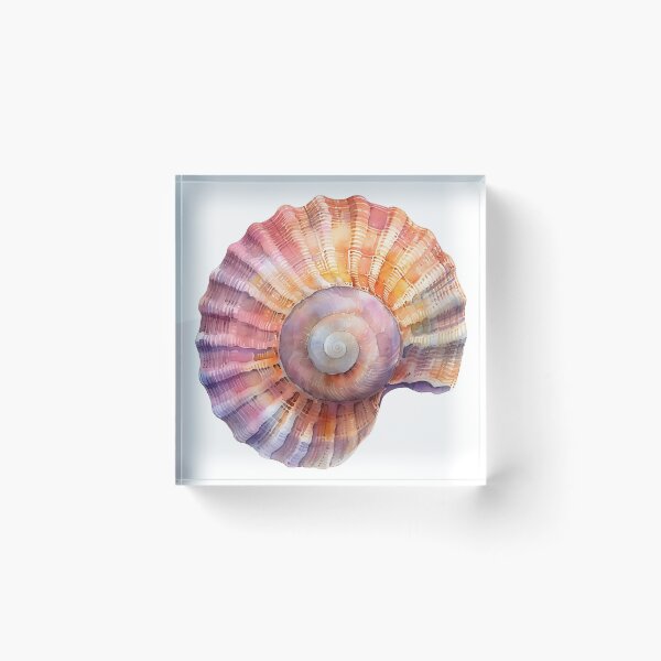 Item preview, Pastel watercolor seashell print designed and sold by dcrc.