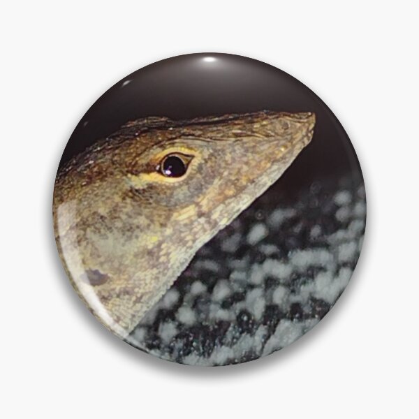 Artikelvorschau, Braune Anolis (3) entworfen und verkauft von RosetheOtter.
