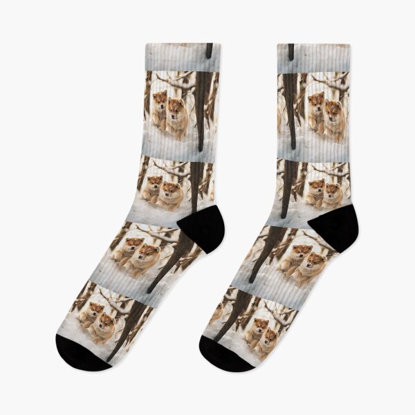 Item preview, Akita Puppies in the Snow designed and sold by Samuelsboro.