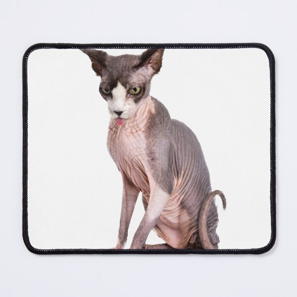 Item preview, Hairless Cat designed and sold by Andromedamami.