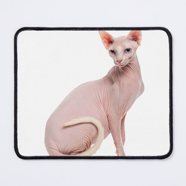 Item preview, Sphinx Cat designed and sold by Andromedamami.