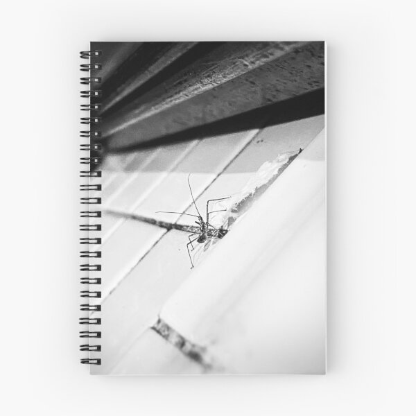 Aperçu de l'œuvre Un Stick Bug sort créée et vendue par skelluce.