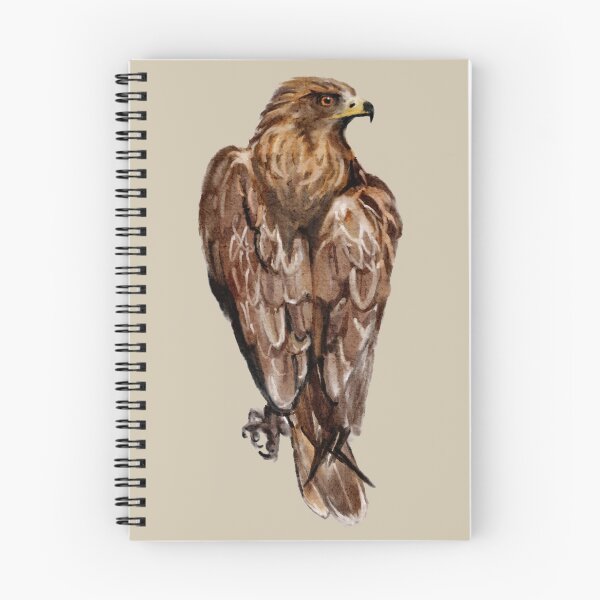 Item preview, Red-tailed hawk watercolour  designed and sold by space-guppies.