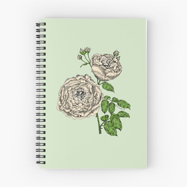Item preview, Cream Globular Rose Bloom Very Full 40+ Petals In 3+ Rows designed and sold by Rachael Taylor.