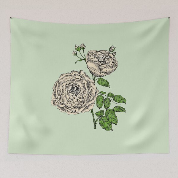 Item preview, Cream Globular Rose Bloom Very Full 40+ Petals In 3+ Rows designed and sold by Rachael Taylor.
