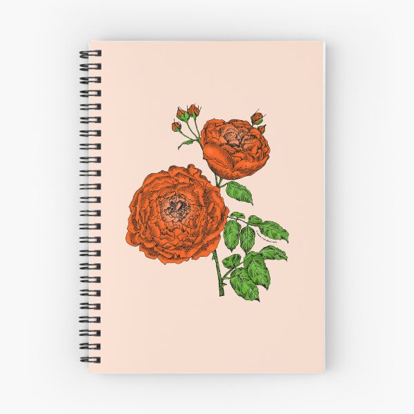 Item preview, Orange Globular Rose Bloom Very Full 40+ Petals In 3+ Rows designed and sold by Rachael Taylor.