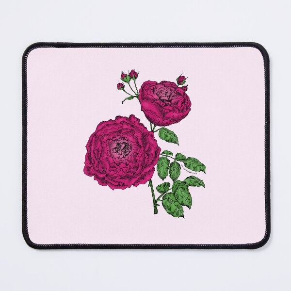 Item preview, Deep Pink Globular Rose Bloom Very Full 40+ Petals In 3+ Rows designed and sold by Rachael Taylor.