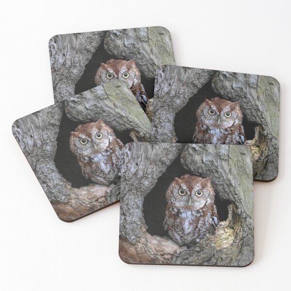 Item preview, screech owl designed and sold by cathygwen.