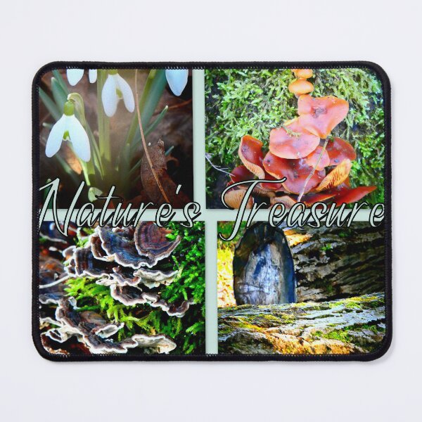 Item preview, Nature's Treasures in January designed and sold by angel1.