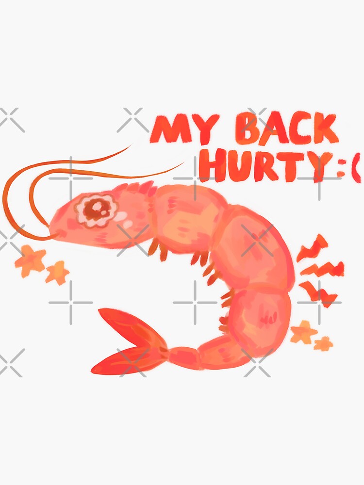 shromp :3 Sticker
