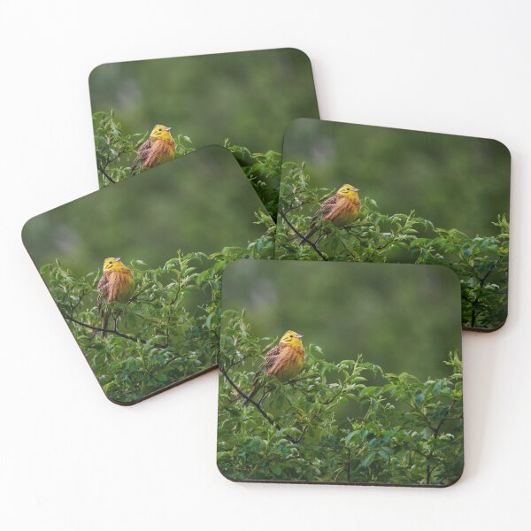 Item preview, Yellowhammer in Berlin designed and sold by Eidetic Photos.