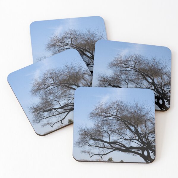 Item preview, sky and trees 3 designed and sold by yunee.