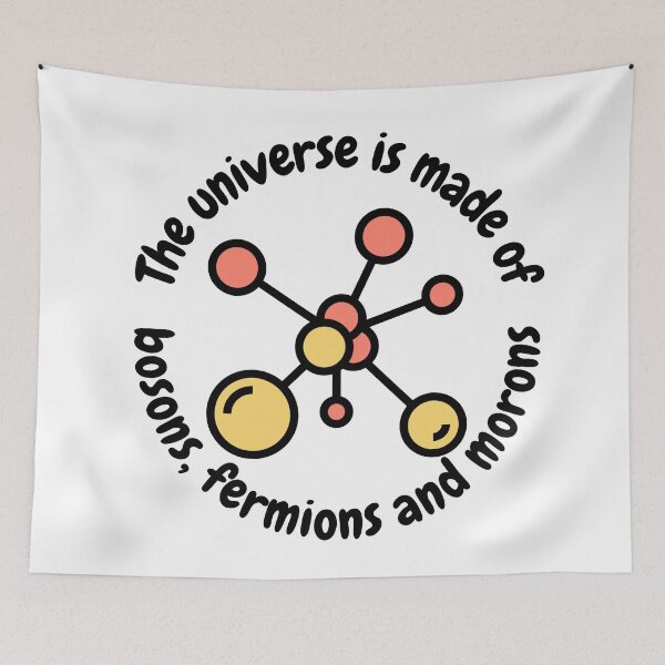 Item preview, The universe is made of bosons, fermions and morons, funny physics designed and sold by NoetherSym.