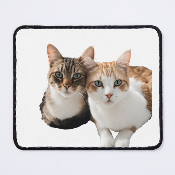 Item preview, cat designed and sold by VisualWonders.