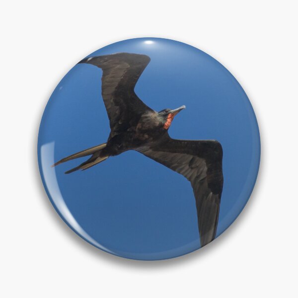 Item preview, Magnificent Frigatebird designed and sold by LaurenTucker.