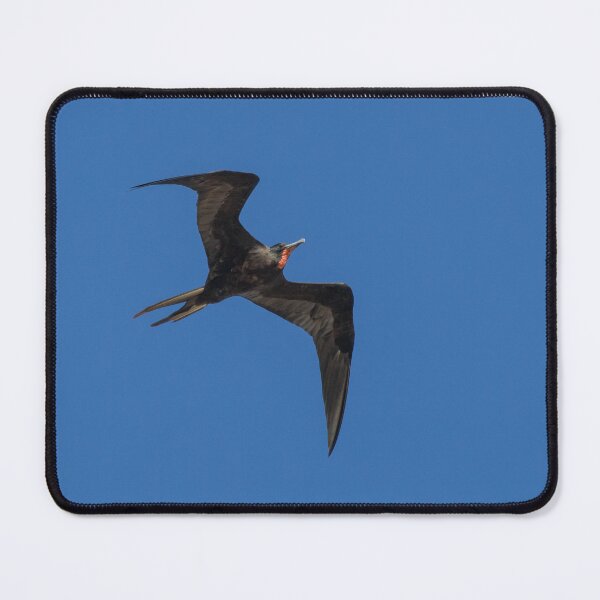 Item preview, Magnificent Frigatebird designed and sold by LaurenTucker.