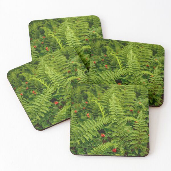 Item preview, Ferns and Berries designed and sold by Alanafinephoto.