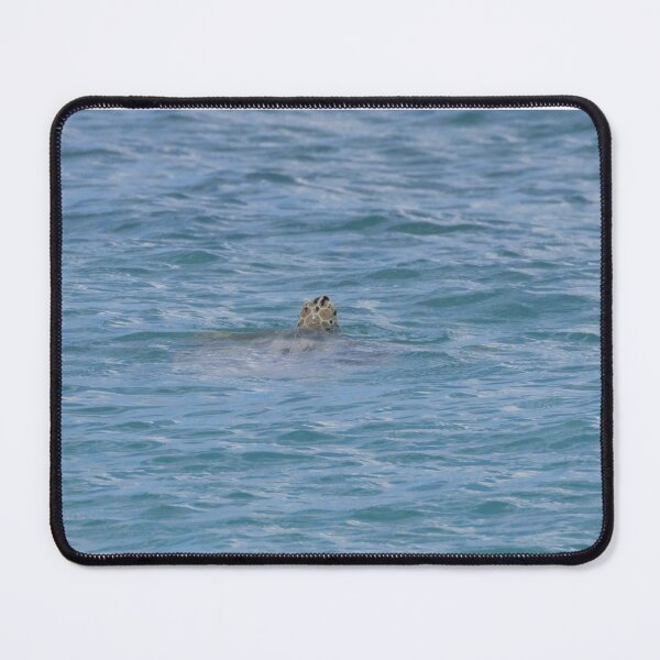 Item preview, Hawksbill Turtle designed and sold by LaurenTucker.