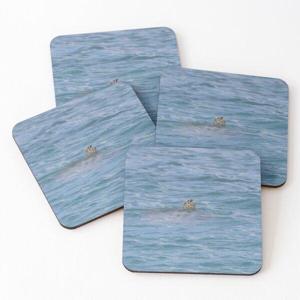 Item preview, Hawksbill Turtle designed and sold by LaurenTucker.