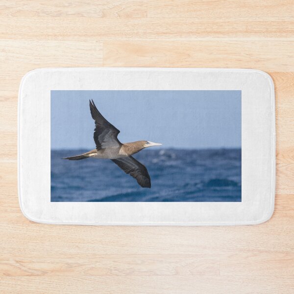 Item preview, Brown Booby designed and sold by LaurenTucker.