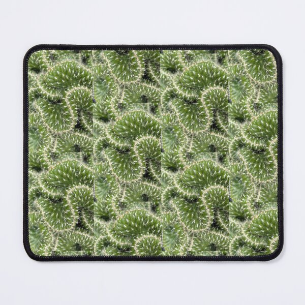 Item preview, Cactus Brain designed and sold by SucculentLovers.