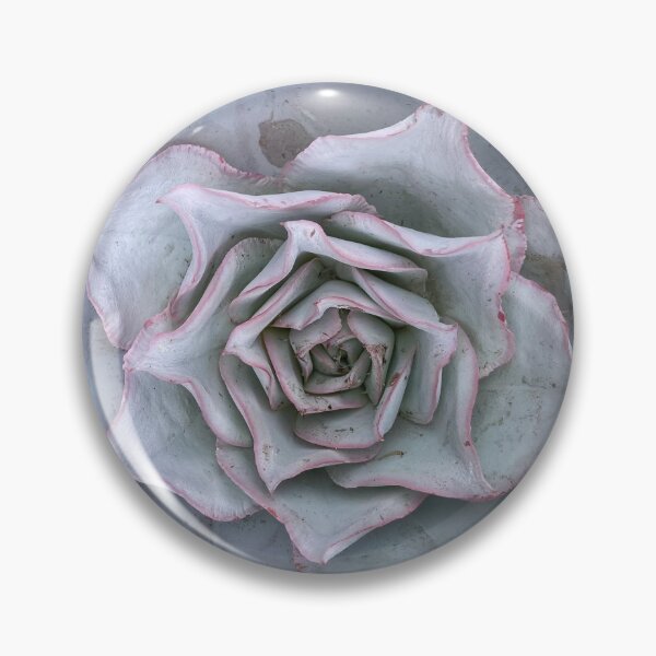Item preview, Succulent Pink Trim designed and sold by SucculentLovers.