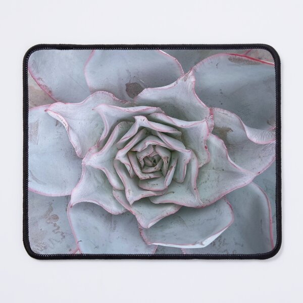 Item preview, Succulent Pink Trim designed and sold by SucculentLovers.