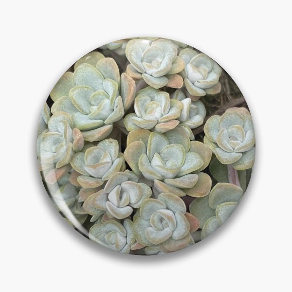 Item preview, Succulent Family designed and sold by SucculentLovers.