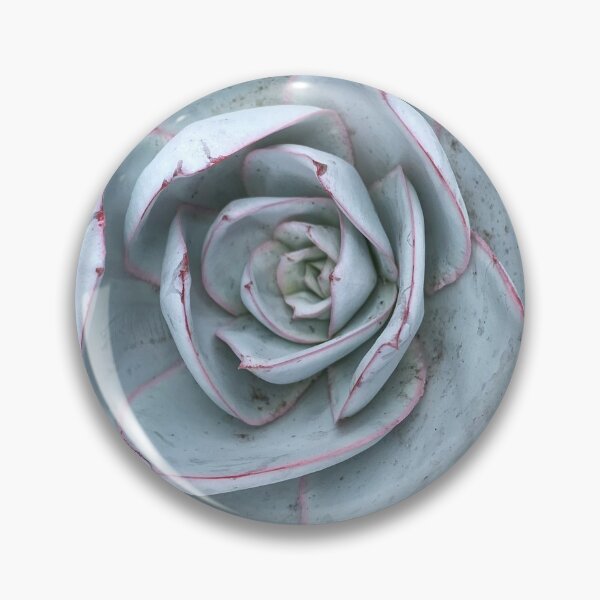 Item preview, Succulent Gray designed and sold by SucculentLovers.