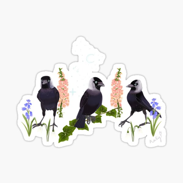 Artikel-Vorschau von Mystic Jackdaw, ein Muster aus Blumen, Mond und Sternen. Schwarz, designt und verkauft von Naty Design Prague.