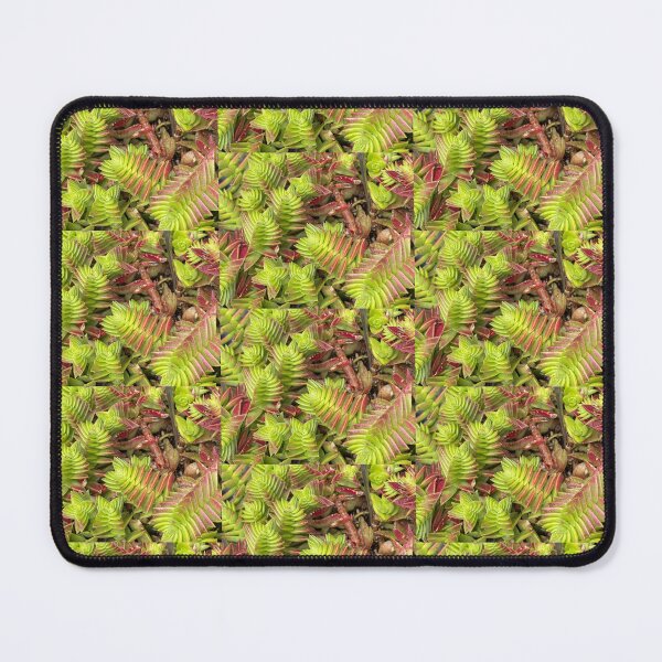 Item preview, Twist and Turn Succulent designed and sold by SucculentLovers.