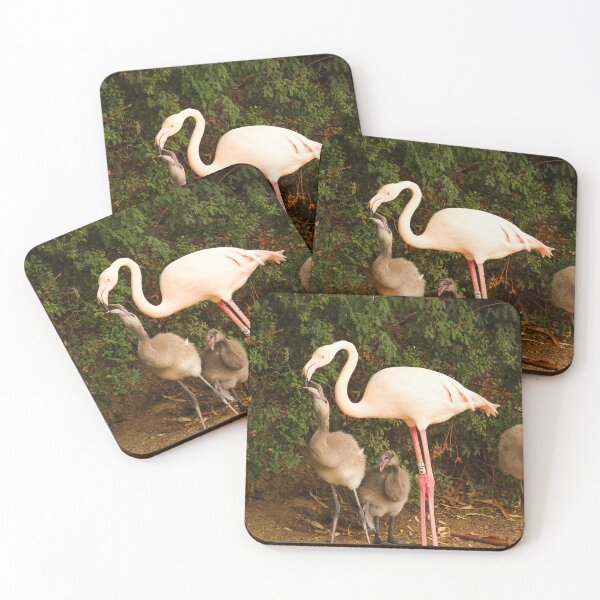 Item preview, Feeding Flamingos Jerez Zoo Vertical designed and sold by eddiebarronshop.