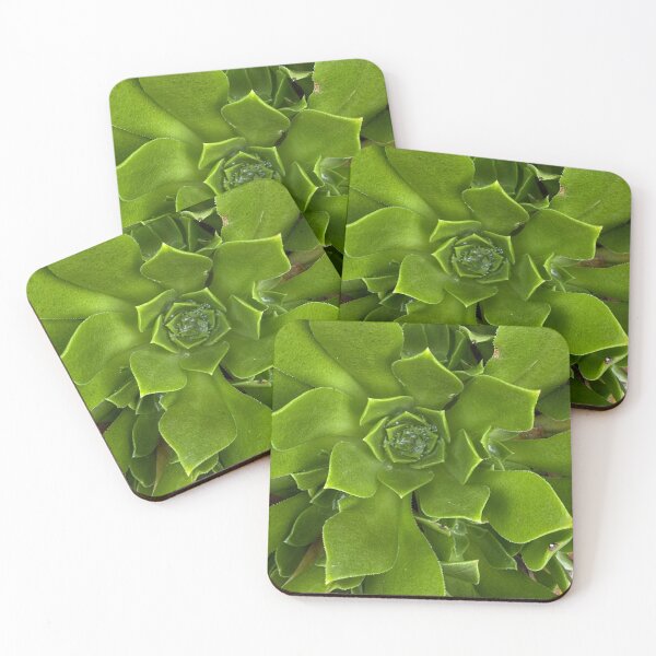 Item preview, Pure Green Succulent  designed and sold by SucculentLovers.
