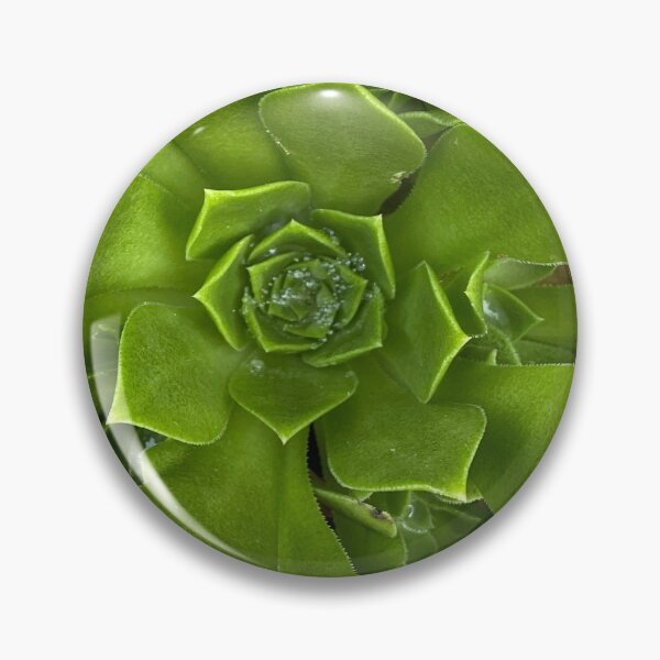 Item preview, Pure Green Succulent  designed and sold by SucculentLovers.