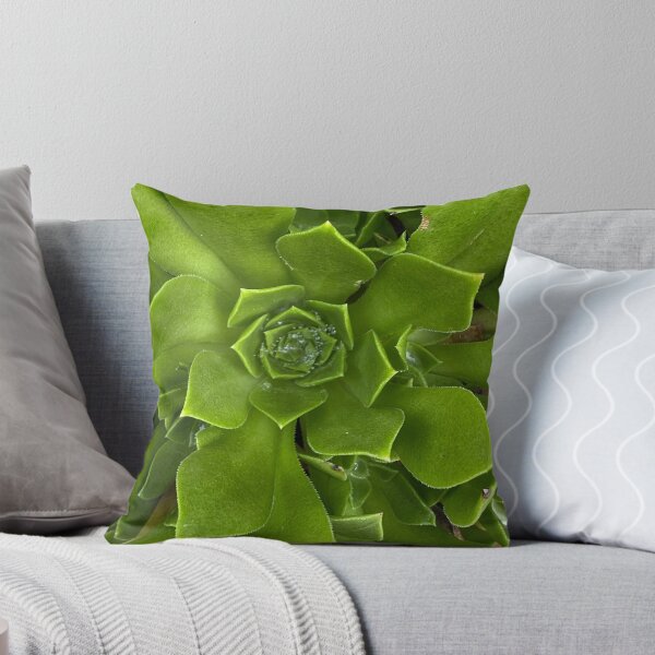 Item preview, Pure Green Succulent  designed and sold by SucculentLovers.