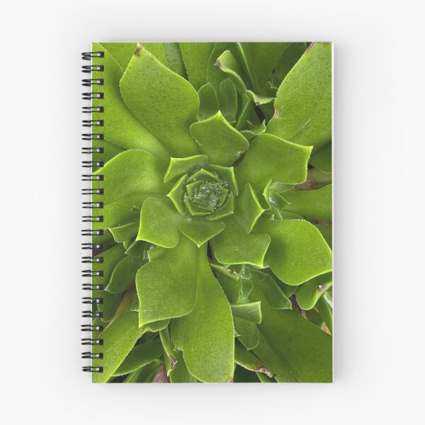 Item preview, Pure Green Succulent  designed and sold by SucculentLovers.