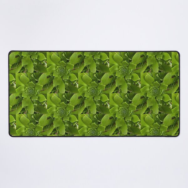 Item preview, Pure Green Succulent designed and sold by SucculentLovers.