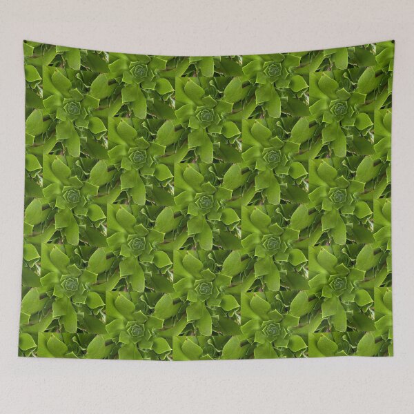 Item preview, Pure Green Succulent  designed and sold by SucculentLovers.