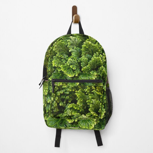 Item preview, Green Bulk designed and sold by SucculentLovers.