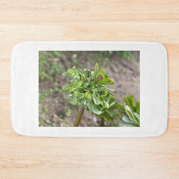 Item preview, Growing Succulent  designed and sold by SucculentLovers.