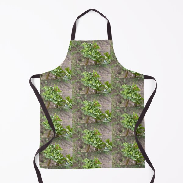 Item preview, Growing Succulent designed and sold by SucculentLovers.